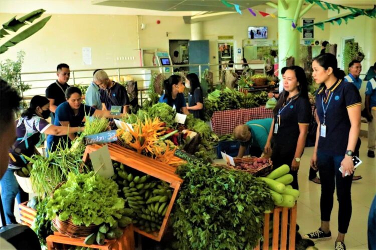 Kadiwa ng Pangulo opens in Mimaropa