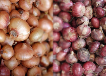 PBBM pledges crackdown on smugglers and hoarders