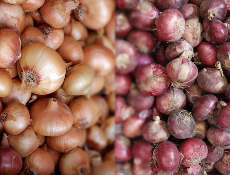 PBBM pledges crackdown on smugglers and hoarders