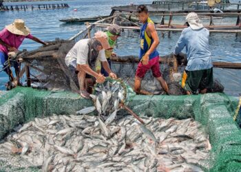 DA-BFAR’s FishCoRe Project to start implementation in August