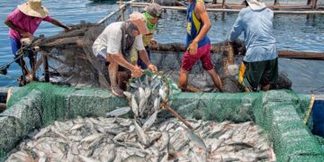 DA-BFAR’s FishCoRe Project to start implementation in August