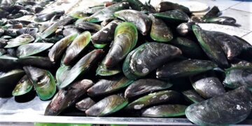 Ilang taga-San Fernando, sumakit ang tiyan matapos kumain ng tahong