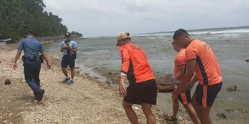Pagkamatay ng mga pawikan sa Romblon, hinihinalang dahil sa dynamite fishing