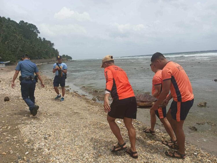 Pagkamatay ng mga pawikan sa Romblon, hinihinalang dahil sa dynamite fishing