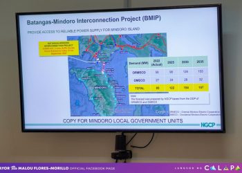 NGCP calls for government support to accelerate Batangas-Mindoro Interconnection Project