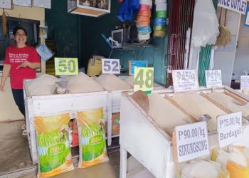 1,192 Mimaropa rice retailers receive cash assistance from gov’t