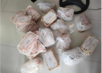 Mga negosyanteng pilit nagpapasok ng baboy sa Romblon kahit bawal, sinisisi sa pagkalat ng ASF