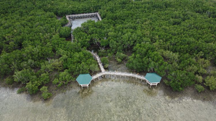 TIEZA mas pinaganda ang Libertad Mangrove and Aqua Silvi Culture Park