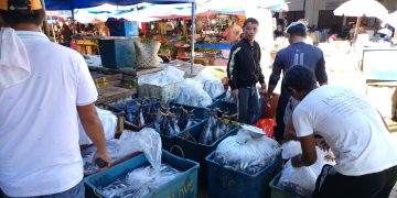 PSA: Romblon’s economy grows 9.8% in 2022