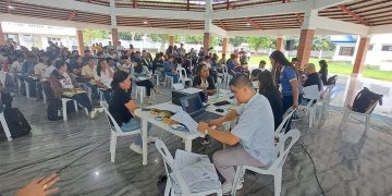 Professional Regulation Commission brings mobile services to Romblon