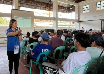 LTO spearheads road safety caravan in Romblon