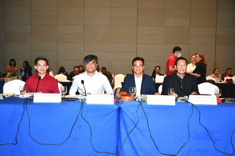 RDC MIMAROPA endorses ₱147 billion worth of projects