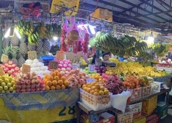 Mimaropa inflation rate slows down in February 2024