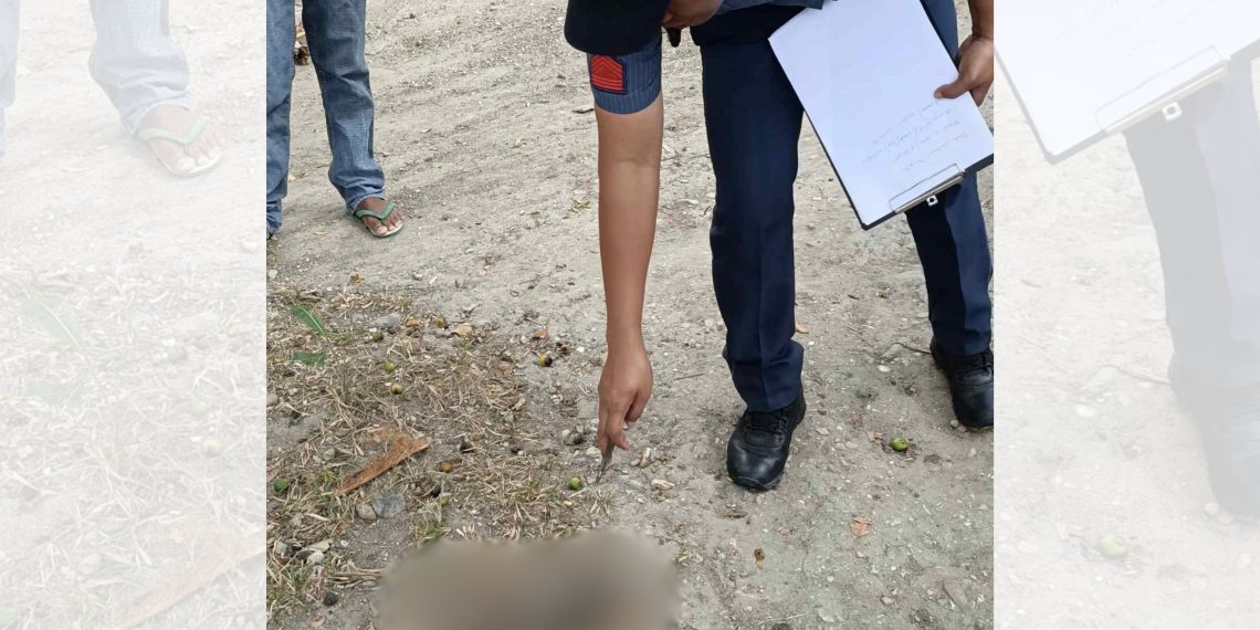 Bagong silang na sanggol, natagpuang patay sa Looc, Romblon