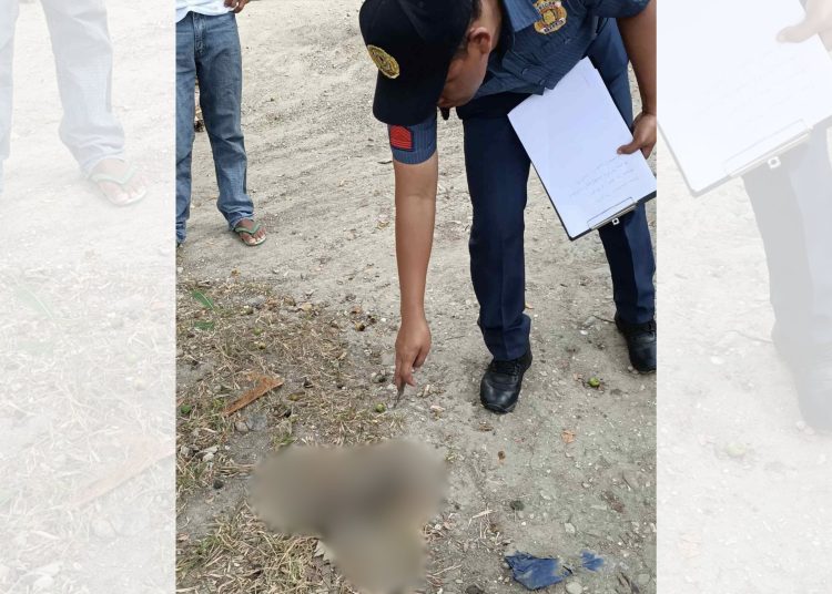 Bagong silang na sanggol, natagpuang patay sa Looc, Romblon