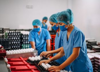 Poultry farm boosts Romblon’s egg supply with LANDBANK support