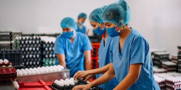 Poultry farm boosts Romblon’s egg supply with LANDBANK support