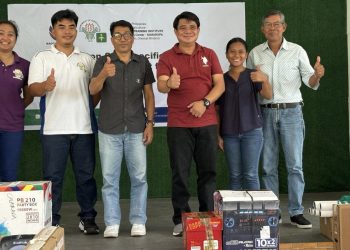 ATI MIMAROPA enhances Information Technology Services centers in Romblon