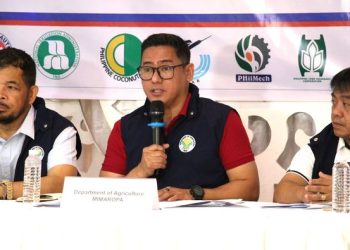 Kadiwa stores in Mimaropa link 129 MT commodities with ₱8.3M sales in 2023