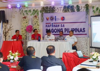 LTO to expand services in Palawan, Marinduque and Romblon