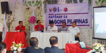 LTO to expand services in Palawan, Marinduque and Romblon