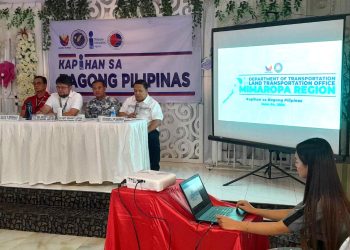 Mahigit 78K kumuha ng Theoretical Driving Course sa MIMAROPA