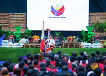 More infra projects to boost Mimaropa’s economy – PBBM