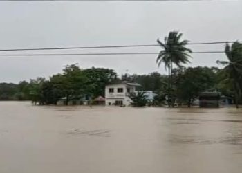 DTI implements price freeze in San Andres, Romblon amid State of Calamity