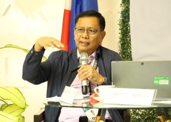 Natural forest cover sa Mimaropa, nananatiling pinakamalaki sa buong Pilipinas