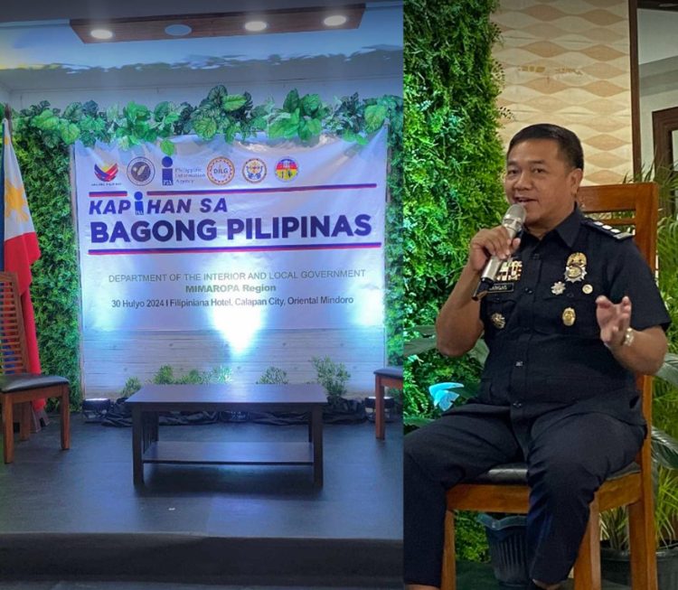 BFP MIMAROPA fire code revenue collection drops by 18.4% in 2023