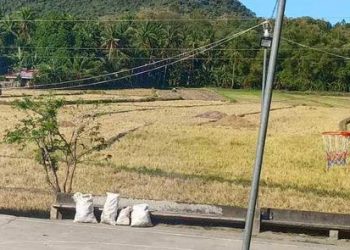 Farmer injured in dispute over irrigation in Ferrol