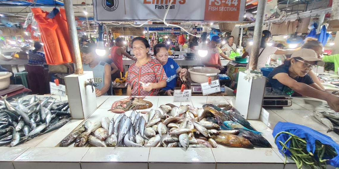 BFAR assures public of fish safety following Antique boat incident