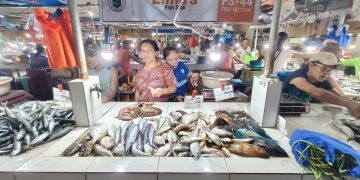 BFAR assures public of fish safety following Antique boat incident