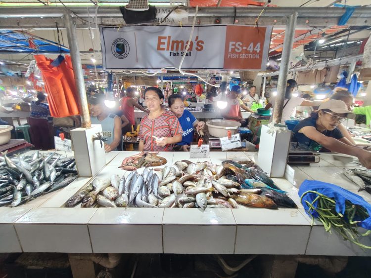 BFAR assures public of fish safety following Antique boat incident