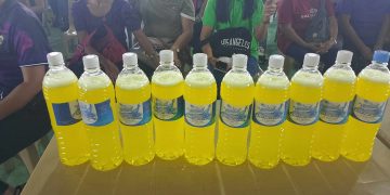 DTI trains women’s group in San Andres to produce dishwashing liquid
