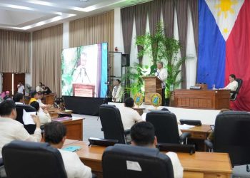 Ordinansang pumipigil sa bagong operasyon ng large-scale na minahan sa Palawan, hiniling ng Gobernador