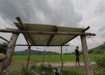 Solar-powered irrigation system brings gains to Palawan’s rice farmers
