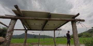 Solar-powered irrigation system brings gains to Palawan’s rice farmers