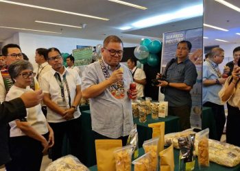 DA naglaan ng P1B para sa seaweeds industry ng bansa