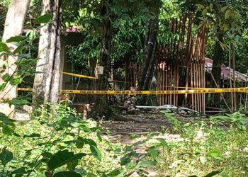 Lalaki sa San Andres, nasawi matapos manlaban sa mga pulis noong Pasko