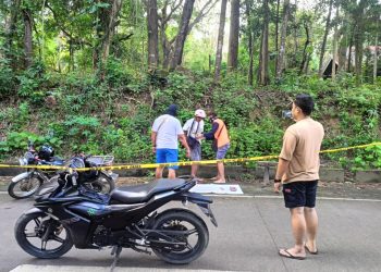 Lalaki tiklo sa pagbebenta di umano ng baril sa Odiongan