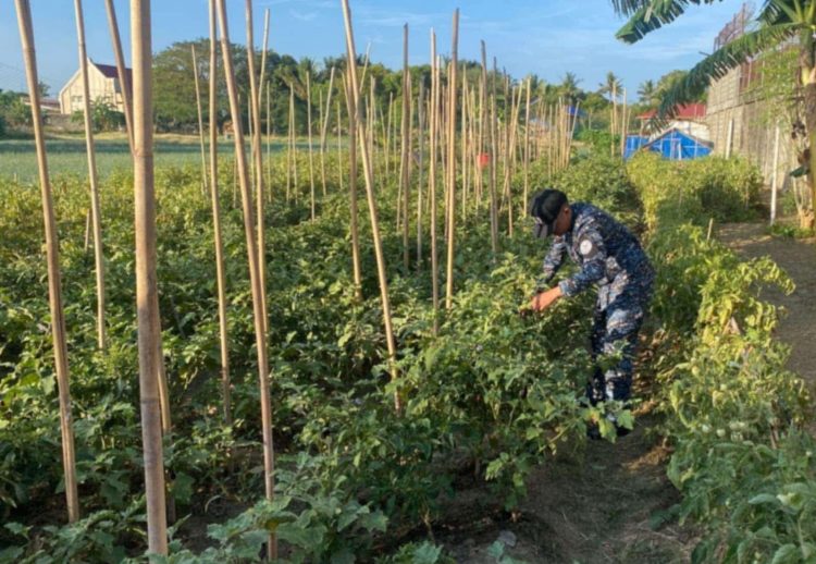 BJMP promotes sustainable agriculture in 19 jail facilities in MIMAROPA