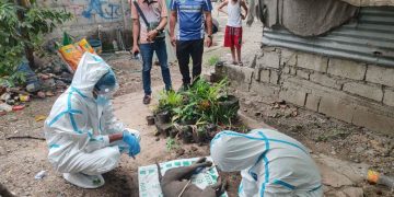 Health authorities warn against ‘tandok’ as treatment for rabies