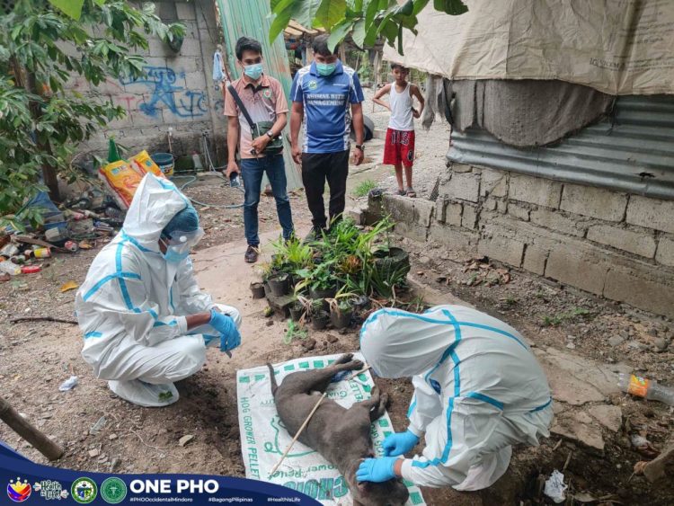 Health authorities warn against ‘tandok’ as treatment for rabies