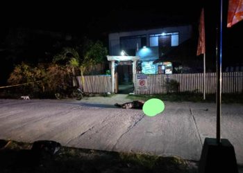 Ex-Convict, patay sa pamamaril sa San Jose, Carabao Island