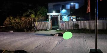 Ex-Convict, patay sa pamamaril sa San Jose, Carabao Island