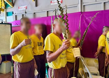 Mimaropa PDLs mark Holy Week with solemn observance of Palm Sunday