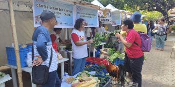 DOLE, inilunsad ang “Kadiwa ng Pangulo” sa MIMAROPA para sa 2025 Labor Week