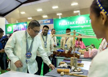 DOST ipinamalas ang lokal na Inobasyon sa MIMAROPA sa pagdiriwang ng Regional Science Week