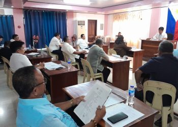 Sangguniang Bayan ng Odiongan, inayawan ang planong itaas sa P100 terminal fee sa Batangas Port